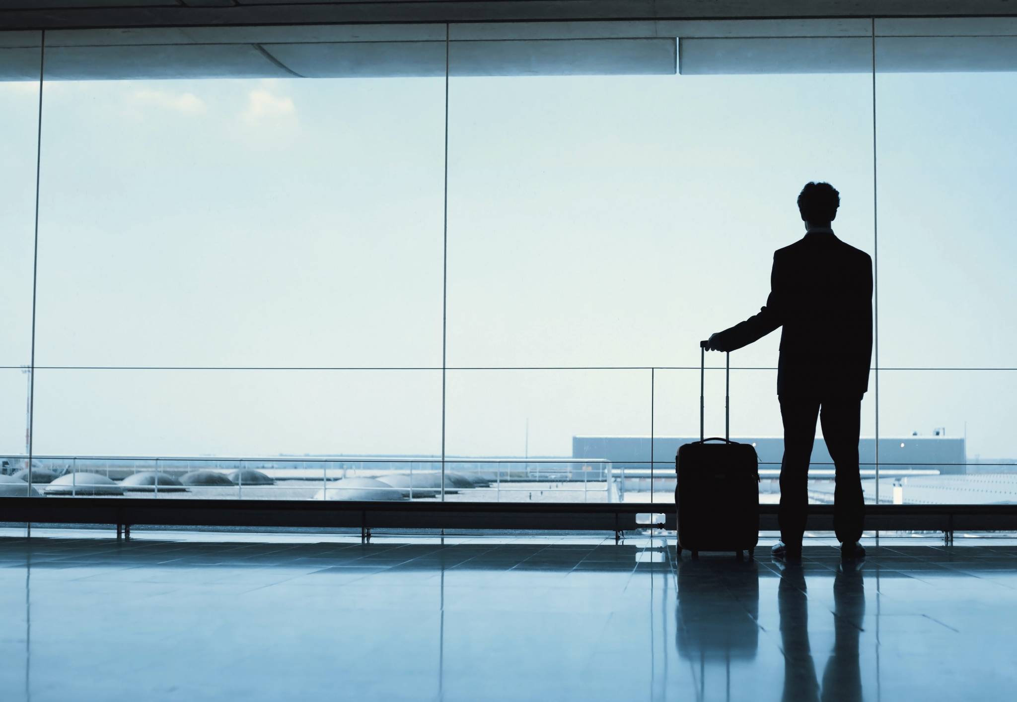 allen carr's easyway to overcome fear of flying
