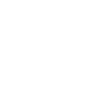 speech